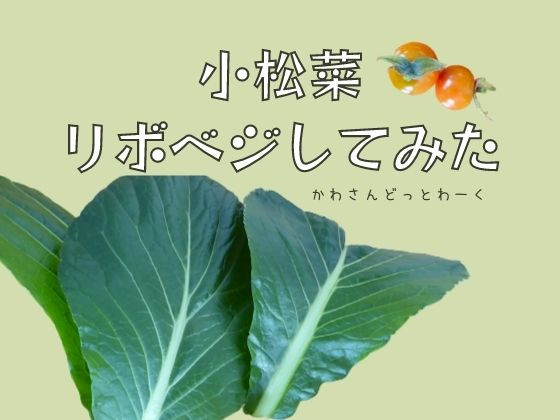 野菜の捨てちゃう部分を使ってもう一度野菜を楽しもう！小松菜をリボベジしました。