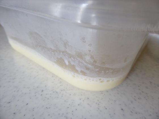 容器に薄く入れた豆乳アイスの液