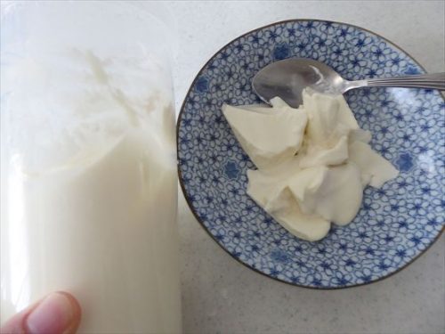 皿に盛った豆乳ヨーグルト