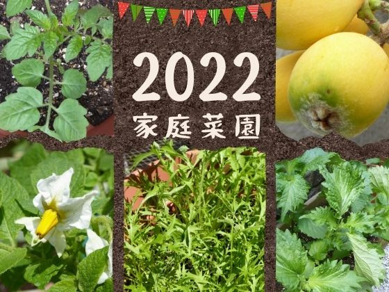 2022年の家庭菜園！簡単・低コストで家庭菜園を楽しむ！