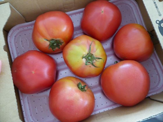箱に入った訳ありトマト6個