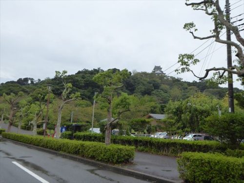 館山城の麓から見える城