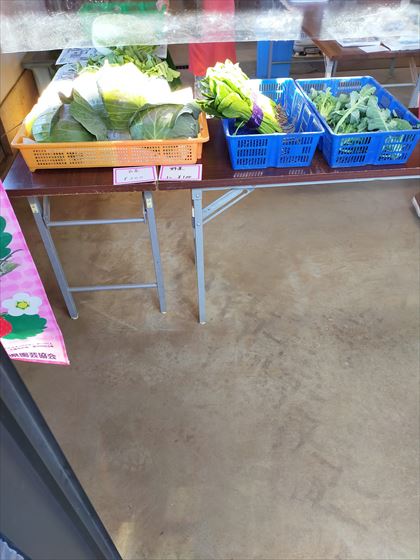 店内のテーブルに並ぶ野菜