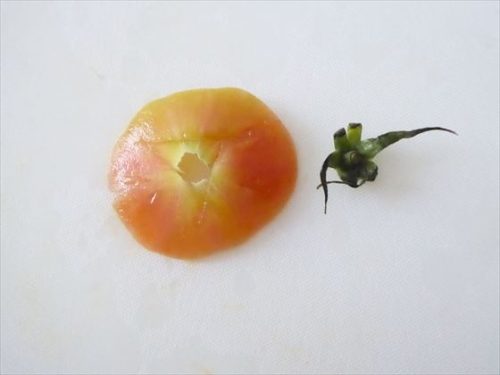 ヘタと切り取ったトマト