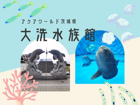 サメ飼育種類数日本一の大洗水族館！帰りはバスで水戸駅へ！《水族館・食事編》