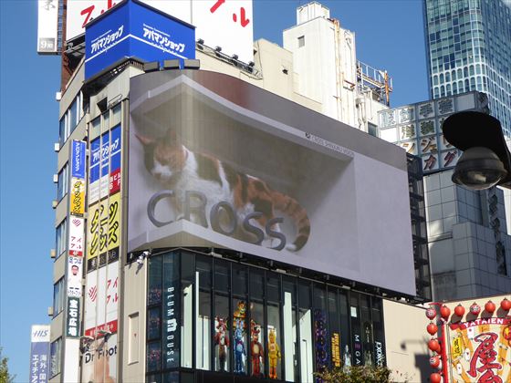 新宿ビジョンの猫の広告