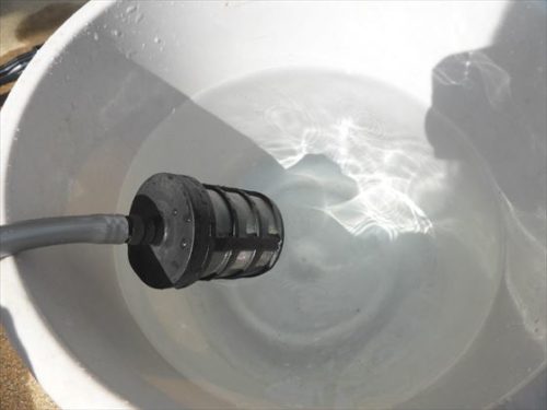 バケツに入れた雨水を自吸している様子